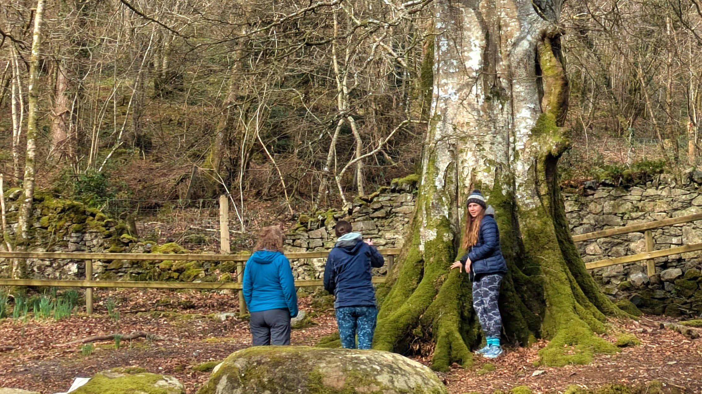 Bringing Nature Connection into Outdoor Leadership